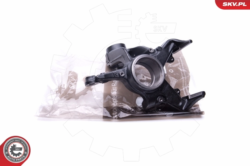 Steering Knuckle, wheel suspension